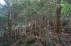 camp27 (466)_thumb.png